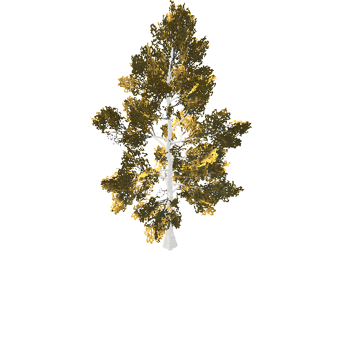 BeecthTree04GoldB_afsTREE_xmvcb _xlod00_xlp_1